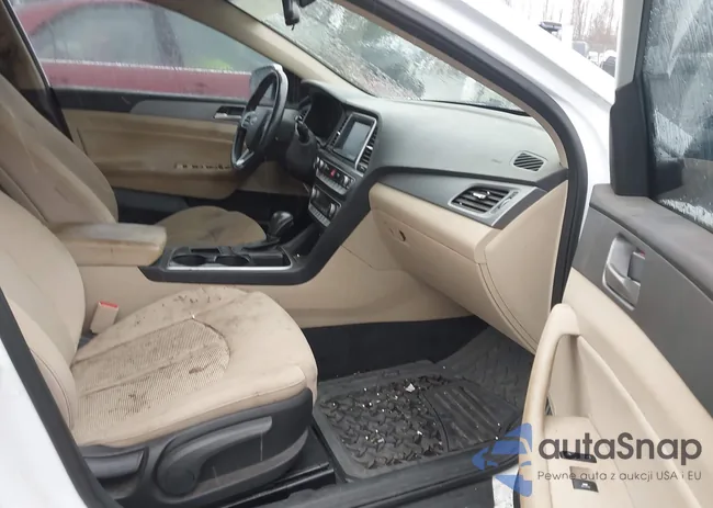 5NPE34AF0KH737907: 44563331