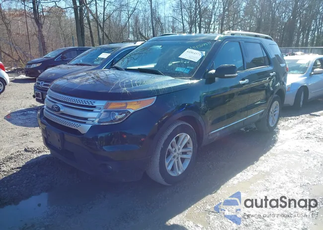 1FM5K8D80DGB60273: 44564571