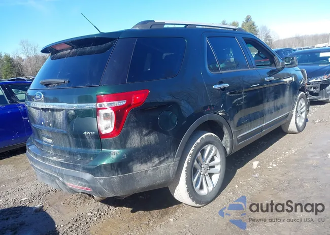 1FM5K8D80DGB60273: 44564571