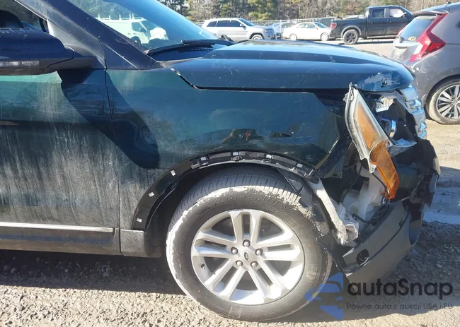 1FM5K8D80DGB60273: 44564571