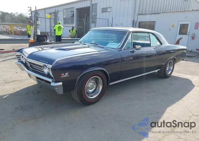 138177B191606: 44564264