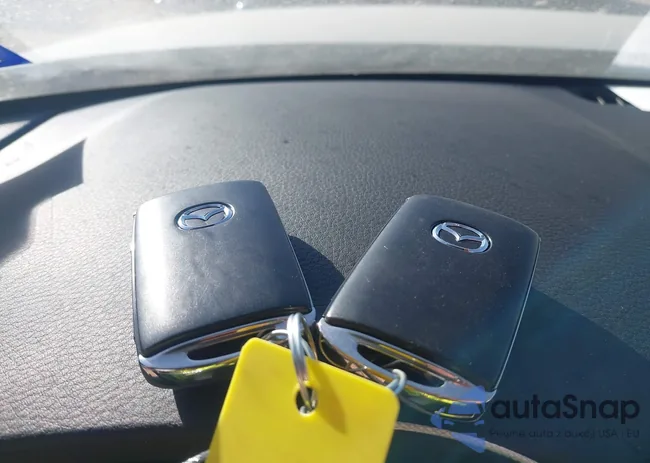 JM1BPAKL6T1858024: 44565569