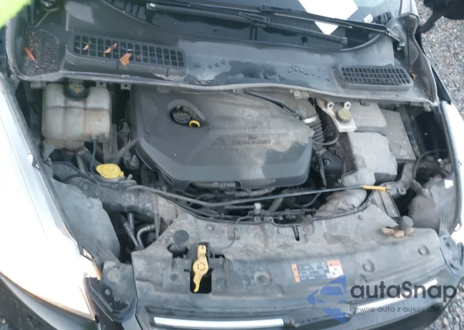 1FMCU0GX2FUA06853: 44565138