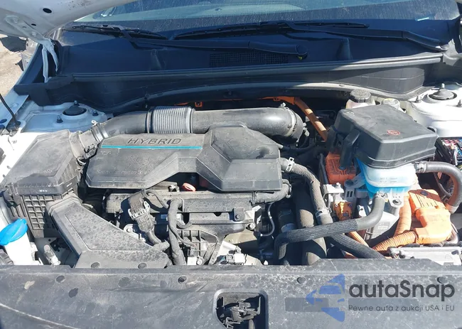 KNDPVCAG2P7068380: 44565266