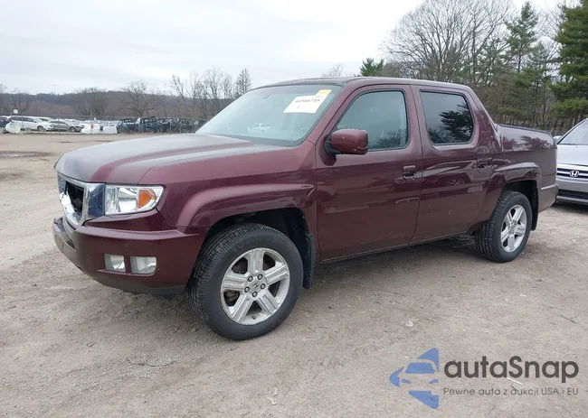 5FPYK1F53AB005595: 44566745