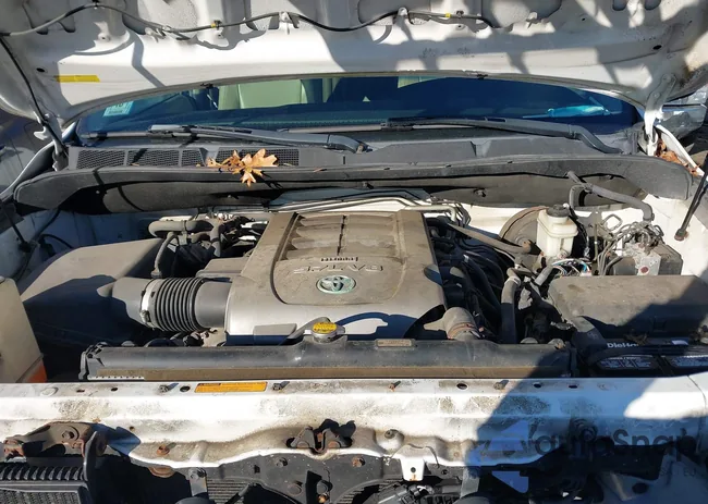 5TDJY5G19AS029861: 44566807