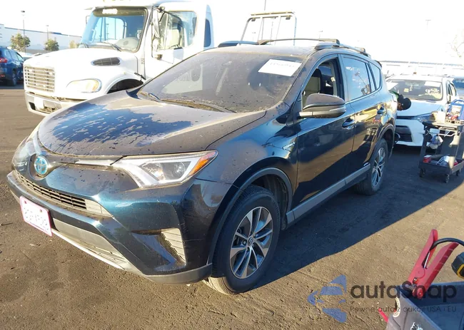 JTMRJREV2JD249195: 44566943