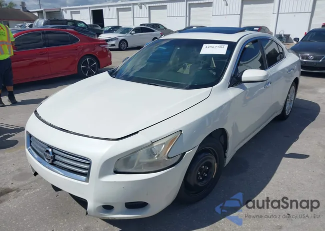 1N4AA5AP1CC851579: 44567781