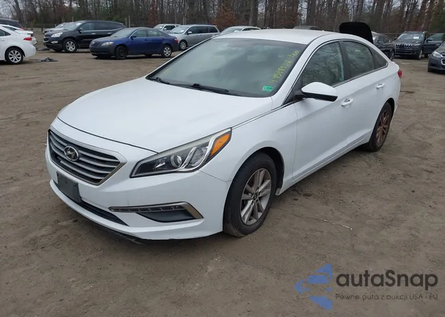 5NPE24AF8FH067564: 44568532