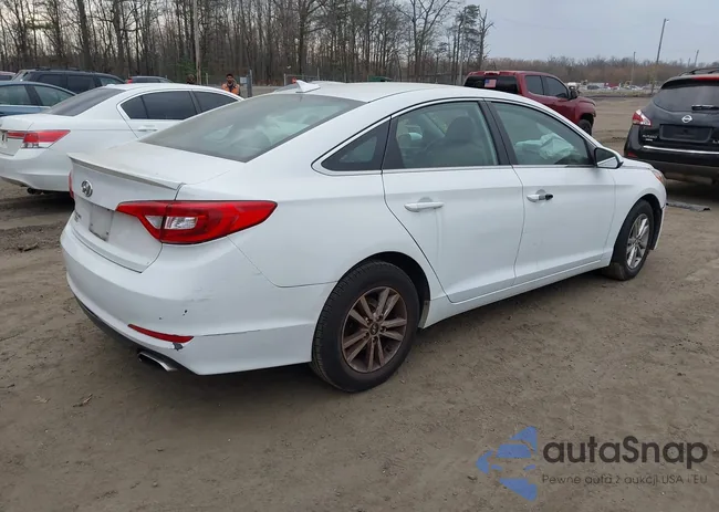 5NPE24AF8FH067564: 44568532