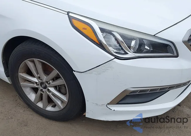 5NPE24AF8FH067564: 44568532