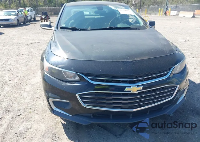 1G1ZB5STXJF146919: 44568880