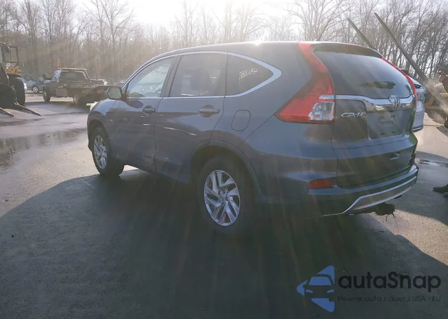 5J6RM4H51GL054185: 44568882