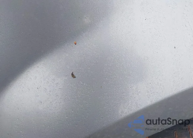 2CNDL13F256192286: 44569048