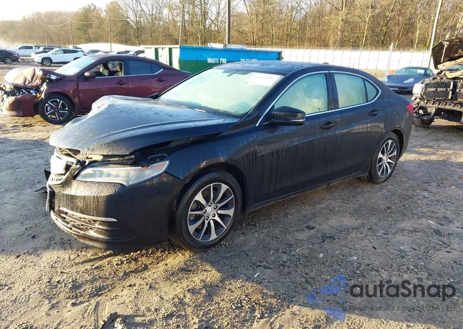 19UUB1F34GA002875: 44569085