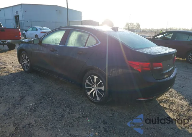 19UUB1F34GA002875: 44569085