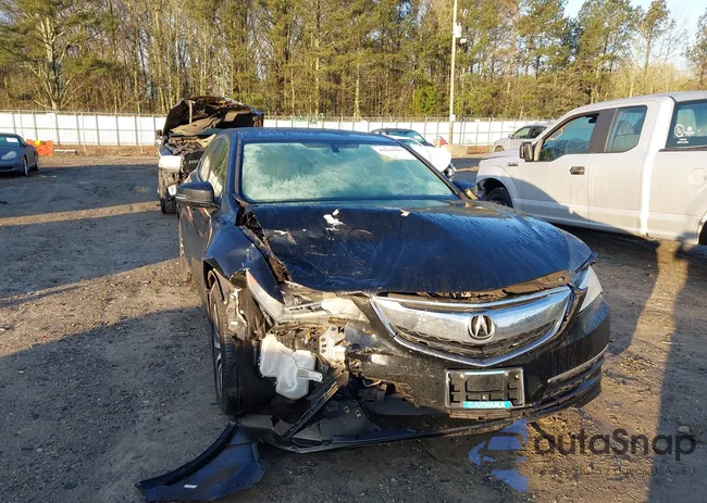 19UUB1F34GA002875: 44569085