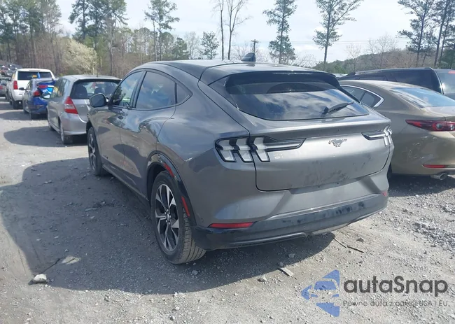 3FMTK3R7XMMA09778: 44569249