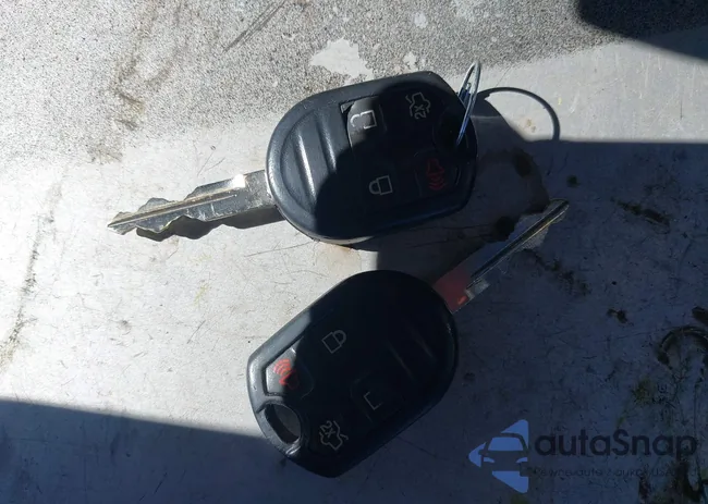 1ZVBP8AM2D5281471: 44569313