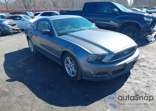 1ZVBP8AM2D5281471: 44569313