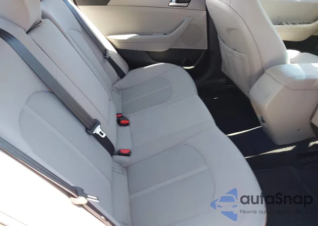 5NPE24AFXFH165365: 44569425