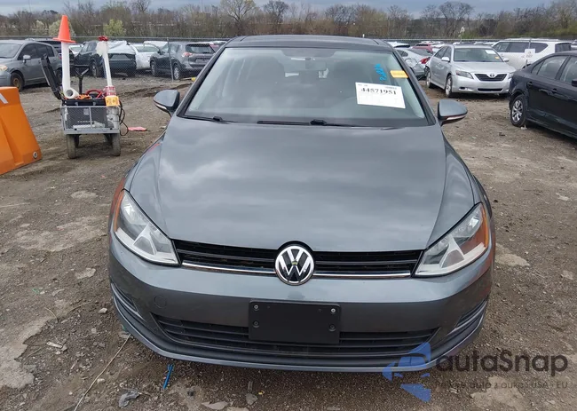 3VW217AU7GM012215: 44571951