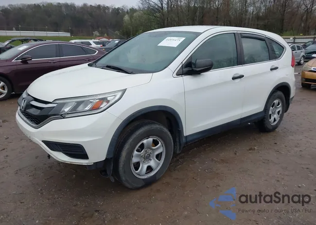 5J6RM4H31GL083006: 44571473