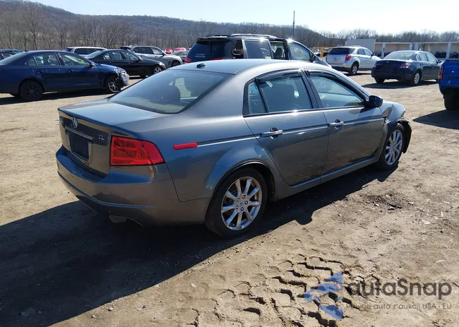 19UUA66255A064855: 44572896