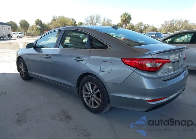 5NPE24AF1HH506302: 44573550