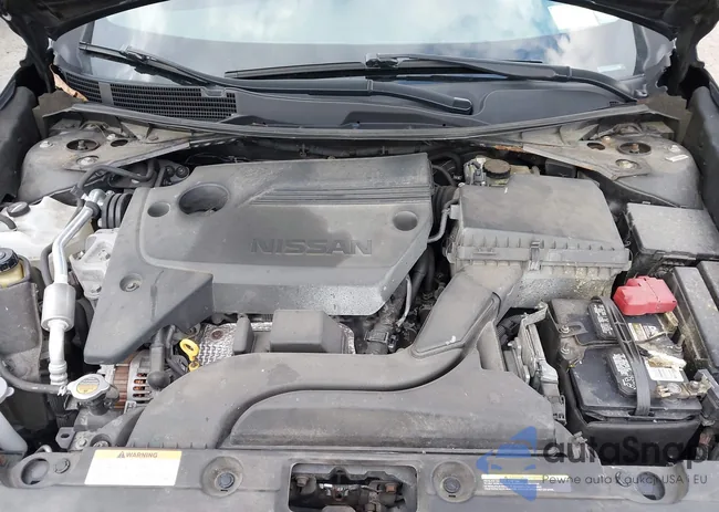 1N4AL3APXHN331519: 44573721