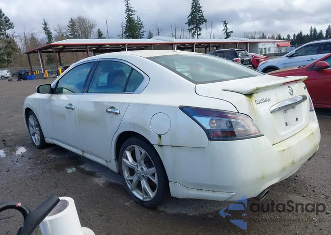 1N4AA5AP7CC803245: 44573772