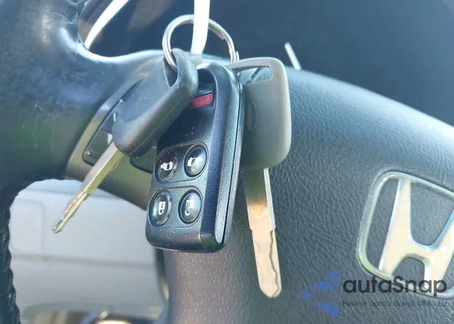 5FNRL38776B428062: 44577453