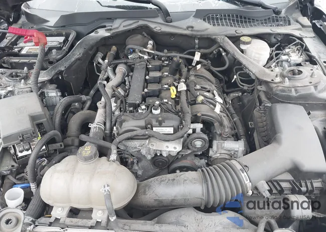 1FATP8UH4M5125251: 44578950