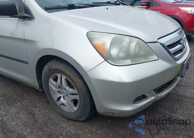 5FNRL38265B031381: 44579584