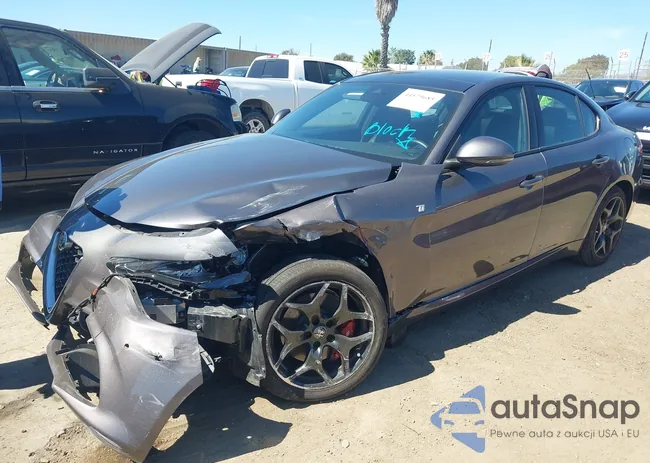 ZARFAMBN3N7665440: 44579685