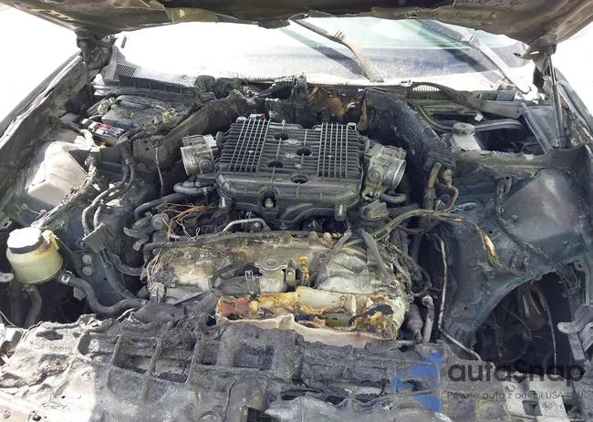 JNKBV61F58M256539: 44580894