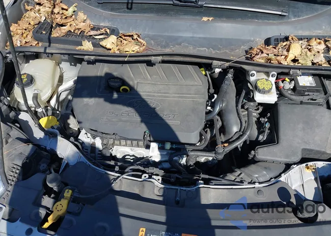 1FMCU9GD4JUB68406: 44582624