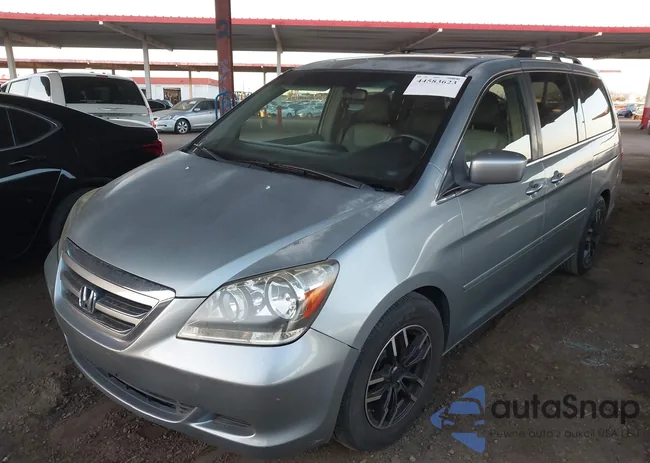 5FNRL38736B093902: 44583623