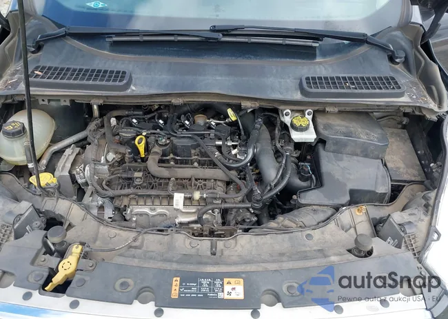 1FMCU9HD4KUA67575: 44584957