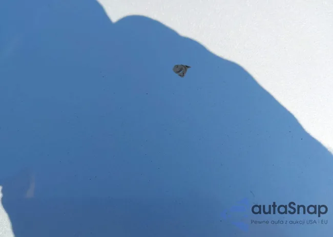 JN1EV7AP9JM591616: 44585032