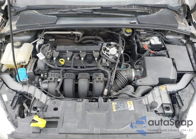 1FADP3F25GL401551: 44585976