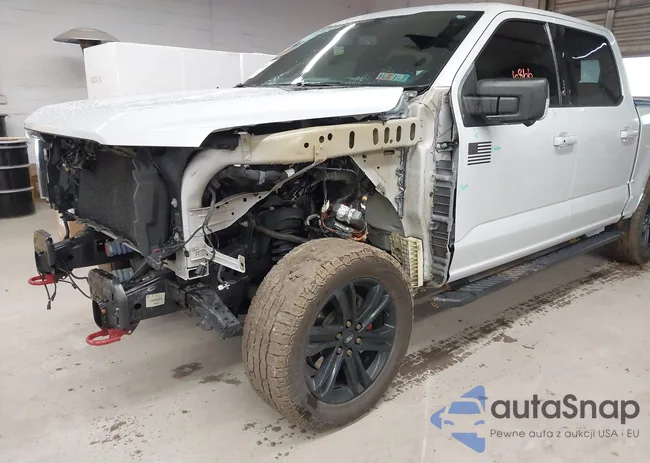 1FTFW1E81MKE15531: 44586866