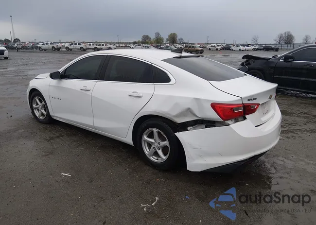 1G1ZB5ST1HF177079: 44588815