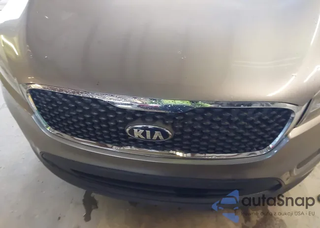 5XYPG4A30GG058317: 44588205