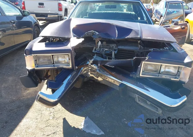 2MEBP95F4FX705866: 44589647