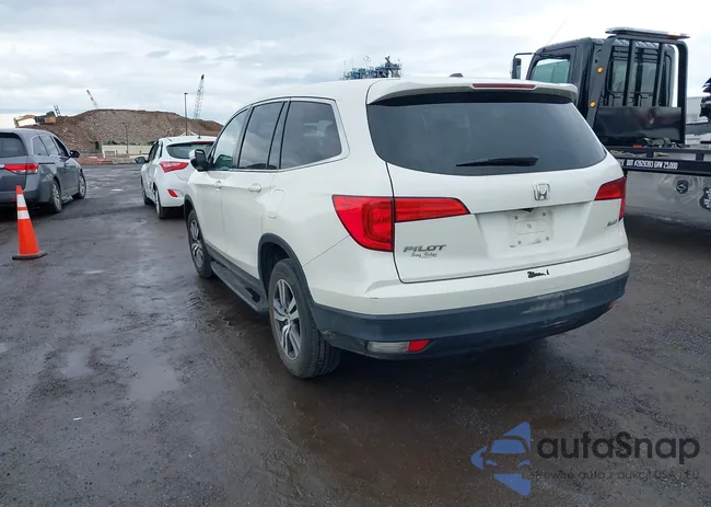 5FNYF6H52HB040775: 44591660