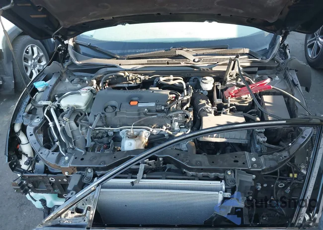 2HGFC2F68KH534954: 44591914