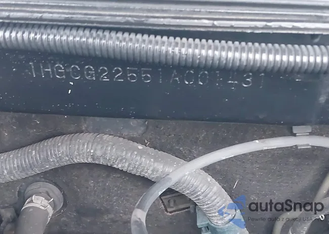 1HGCG22551A001431: 44592044