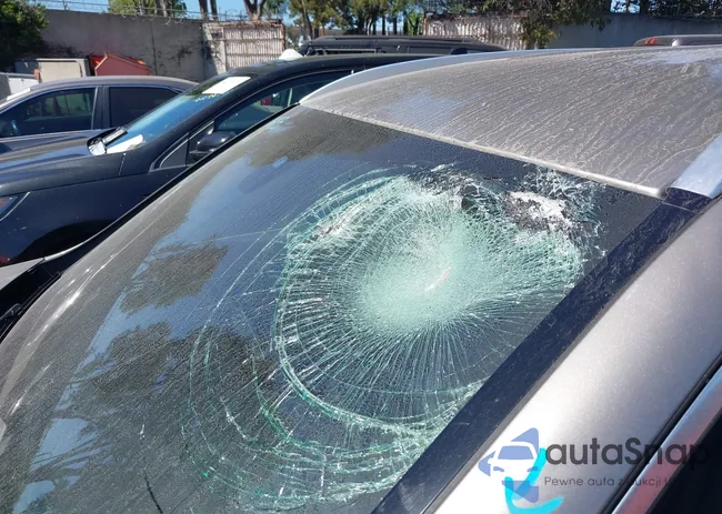 WDC0G4JB9KV157304: 44592158