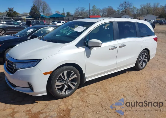 5FNRL6H88MB034917: 44593722